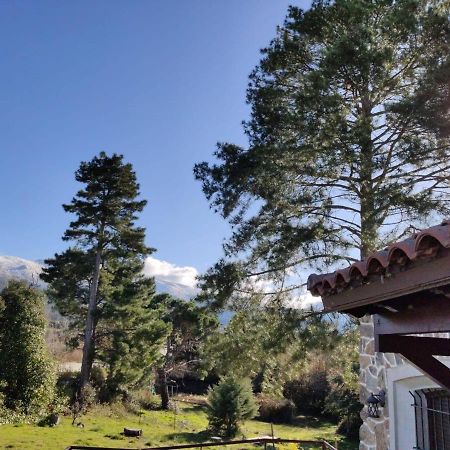 Casa Rural El Pinar Βίλα Navas de Riofrio Εξωτερικό φωτογραφία