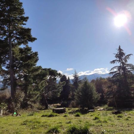 Casa Rural El Pinar Βίλα Navas de Riofrio Εξωτερικό φωτογραφία