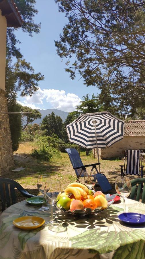 Casa Rural El Pinar Βίλα Navas de Riofrio Εξωτερικό φωτογραφία